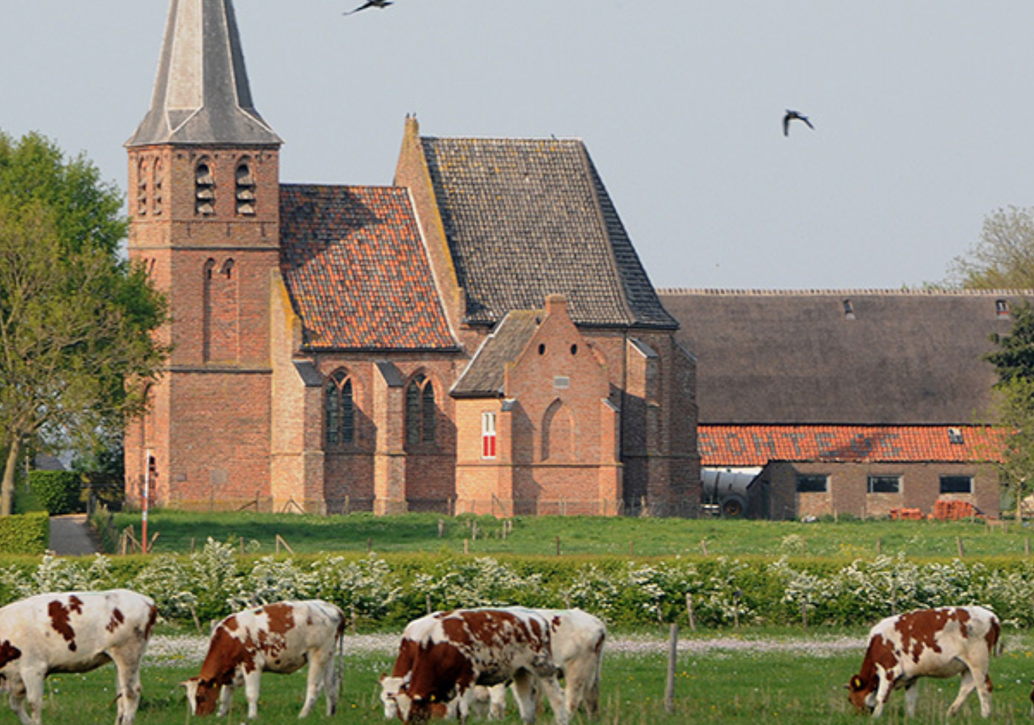 Schermafbeelding 2020-03-02 om 17.31.22